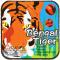 BENGAL TIGER - MEGA MARBLES - MEGA MARBLES OLD 24+1 (2006-2009) (FACE)